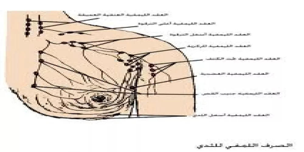 تثبيط إنزيم يوقف انتشار السرطان