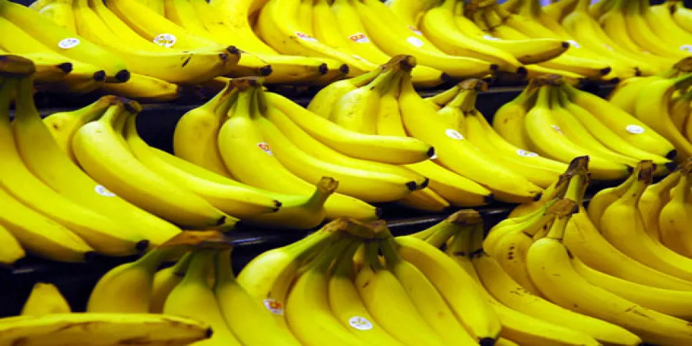 الموز: الفاكهة المعجزة