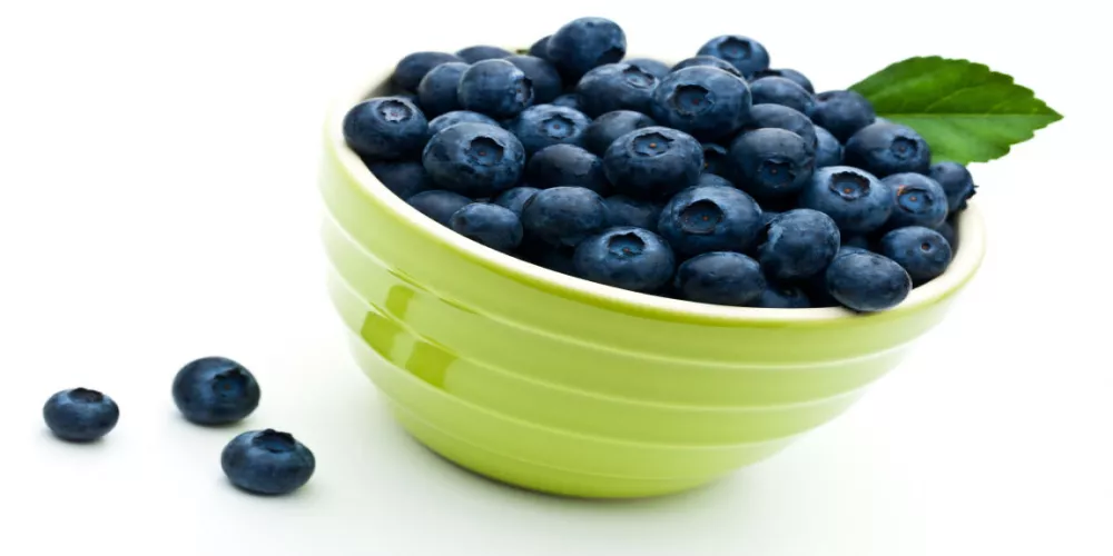 التوت البري قد يساعد في مكافحة السمنة