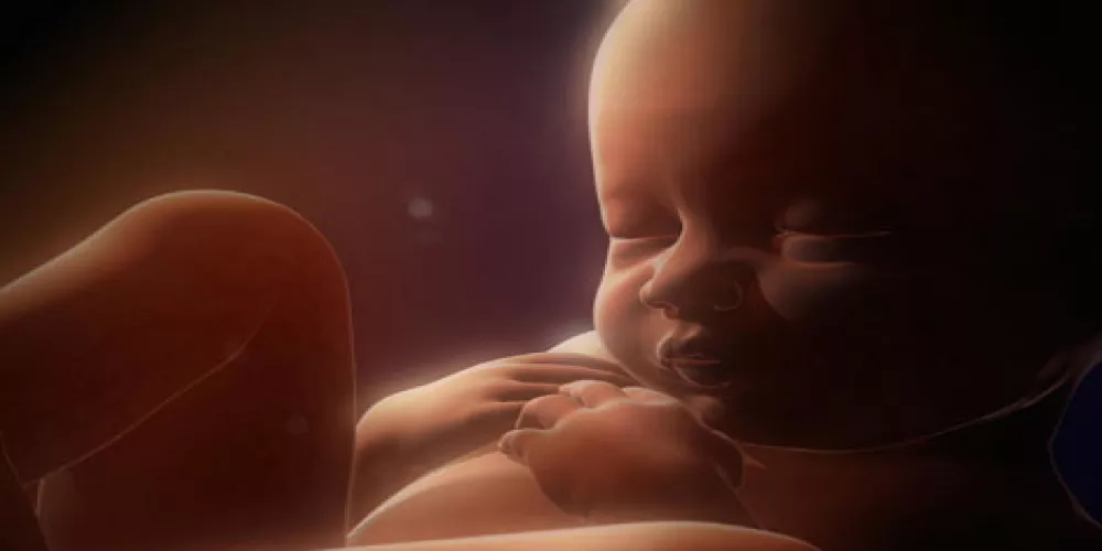 النظام الغذائي للأم أثناء الحمل يغير الحمض النووي الطفل  