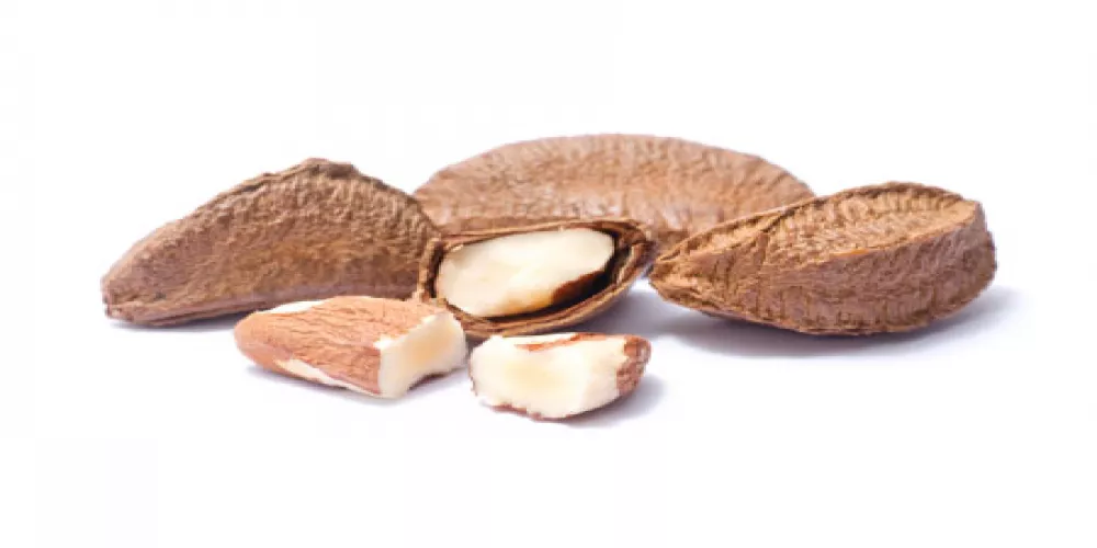 السيلينيوم ' لايوقف السرطان' 