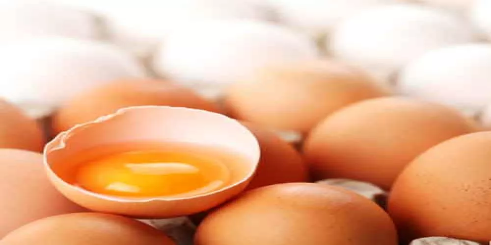 مضادات الاكسدة في البيض تمنع امراض القلب والسرطان