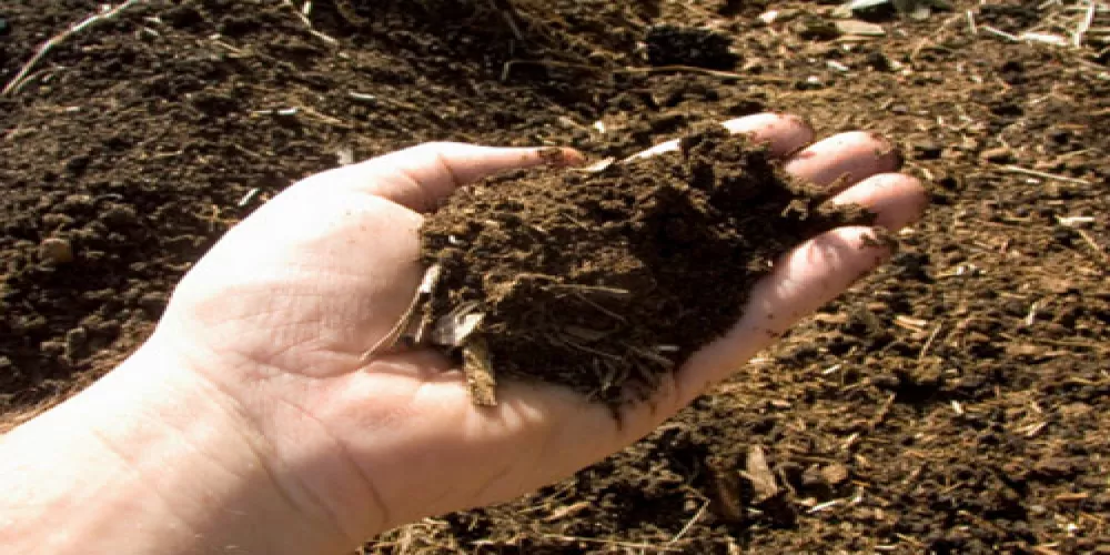 بكتيريا التربة تساعد على قتل السرطان