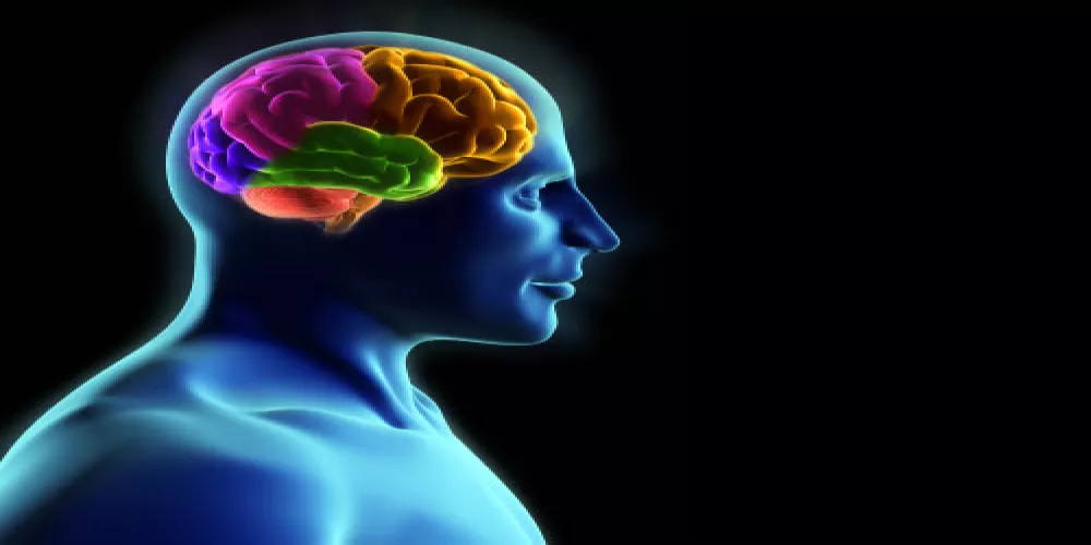 إعادة تدريب الدماغ قد تساعد مرضى الباركنسون في العلاج