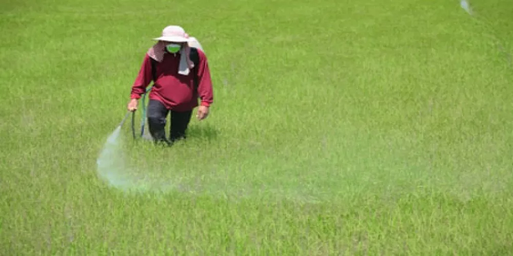 تعرض الحامل للمبيدات الحشرية مرتبط باصابة الاطفال بالعدوى