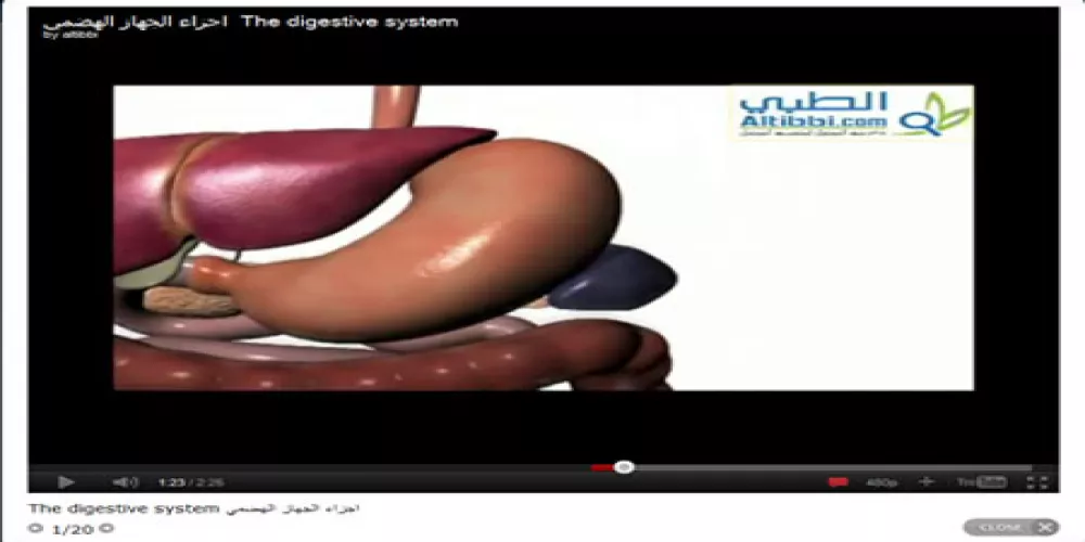 موقع الطبي يطلق فيديو الجهاز الهضمي ثلاثي الأبعاد