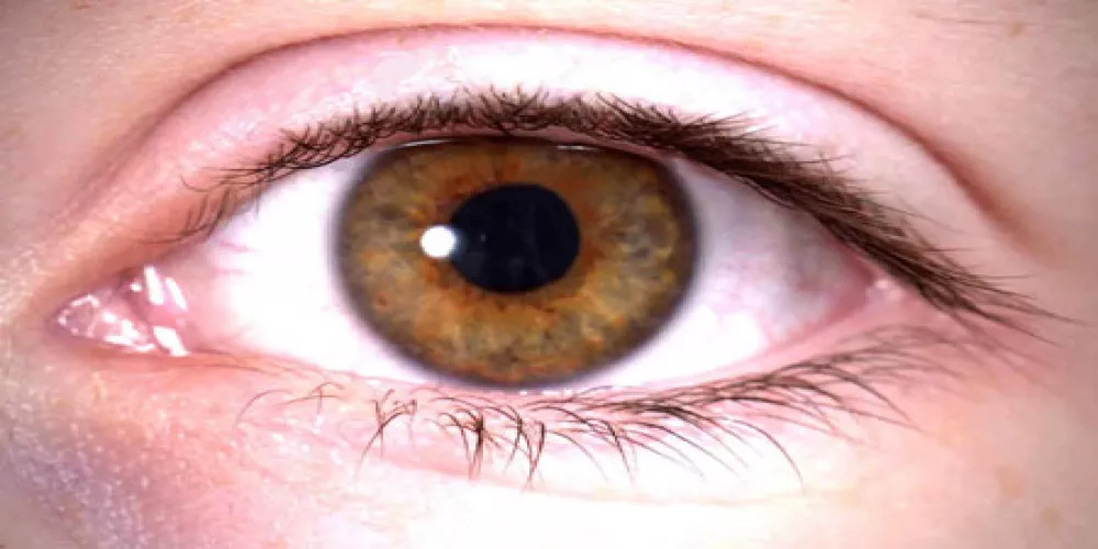 رعشة العين قد تساعد في تشخيص الشلل الرعاشي مبكرا
