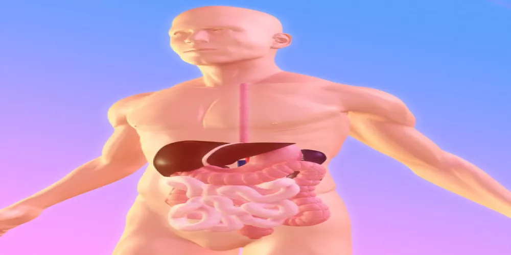 فوائد الصوم للجهاز الهضمي