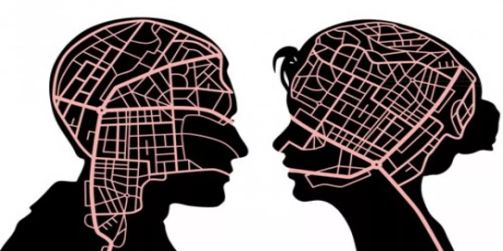 الدماغ يؤثر في رؤية الرجال والنساء لما حولهم بشكل مختلف 