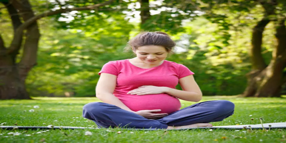 النظام الغذائي قبل الحمل وتأثيره في صحة الأبناء 