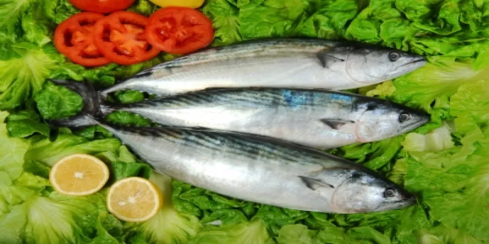 السمك للوقاية من خطر السكتة الدماغية وليس المُكملات الغذائية لزيت السمك
