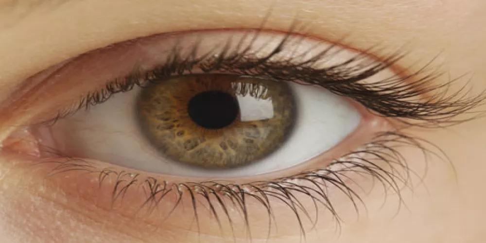 استخدام الخلايا الجذعية لعلاج زرق العين 