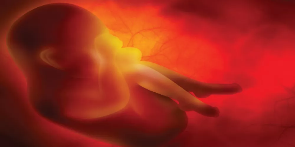 بعض حالات التسمم الغذائي تنتقل من الأم الى الجنين