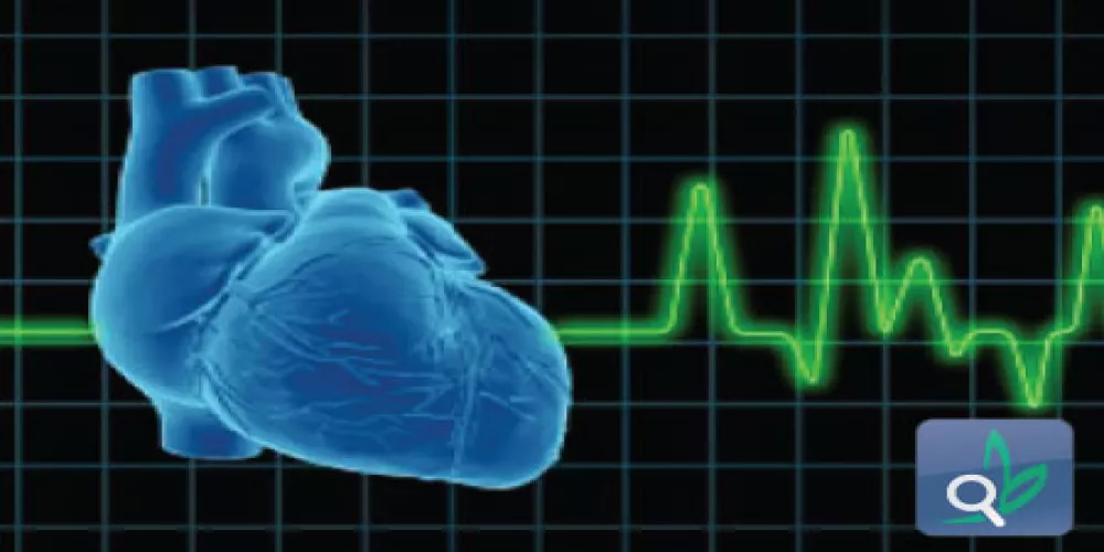 فيروس يساعد في بناء جهاز لتنظيم دقات القلب 