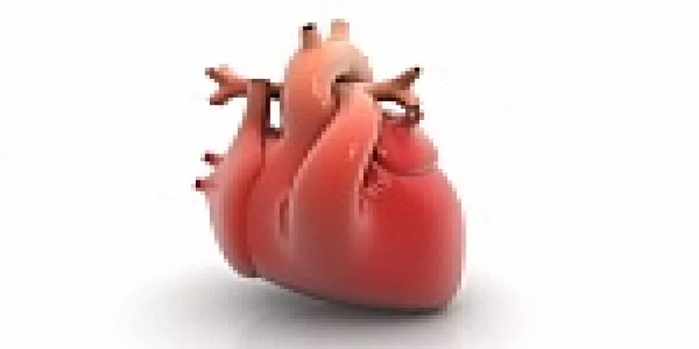 منظمة الغذاء والدواء الأمريكية تحذر مرضى صمامات القلب الصناعية من عقار يستخدم لمنع تخثر الدم 