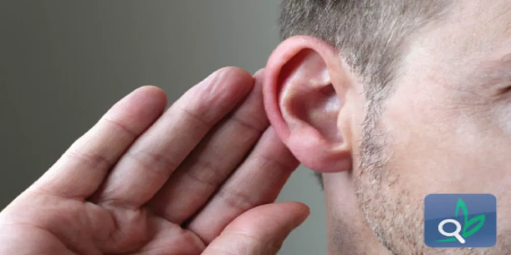 استعادة حاسة السمع عن طريق علاج الخلايا الشعرية 