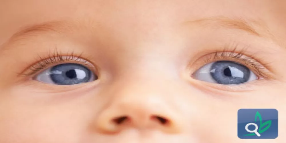 تعرض الجنين للضوء يعزز من تطور العين