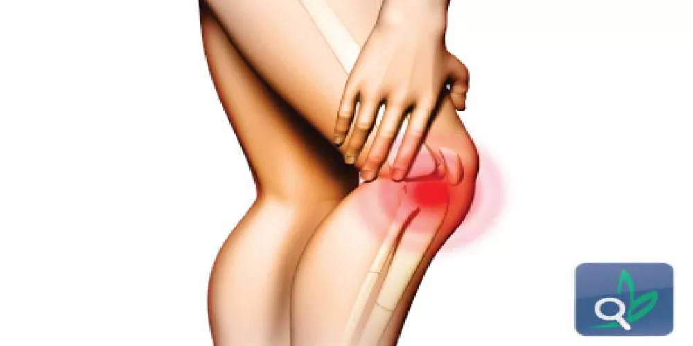 العلاج بالخلايا الجذعية لاصلاح غضروف الركبة التالف