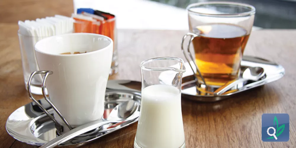 القهوة والشاي الاخضر للوقاية من السكتة الدماغية 