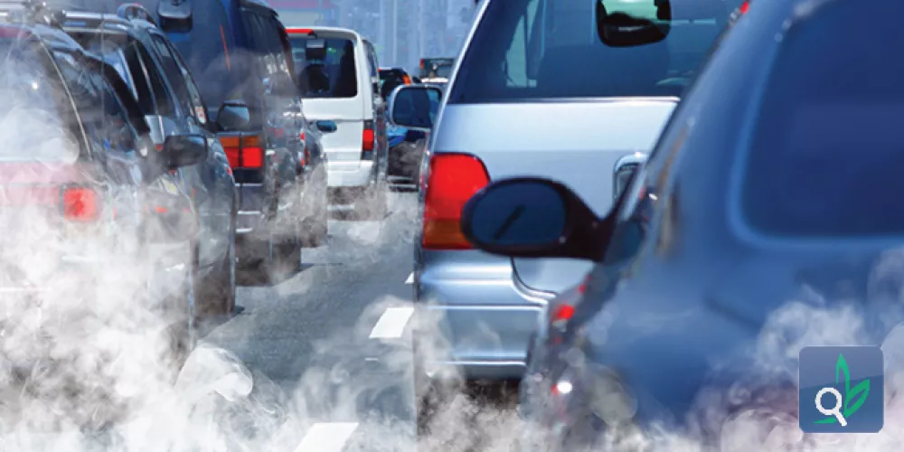 التلوث المروري يزيد فرصة الاصابة بالربو المزمن