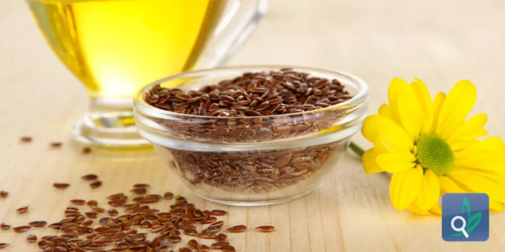 بذور الكتان غير فعالة  في علاج الكوليسترول المرتفع