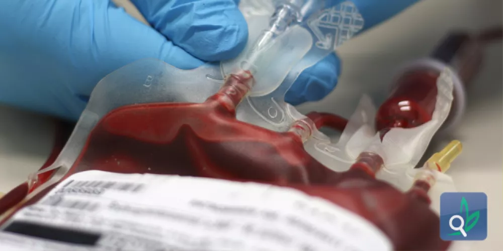 نقل الدم في جراحة القلب يزيد من خطر الاصابة بالعدوى 