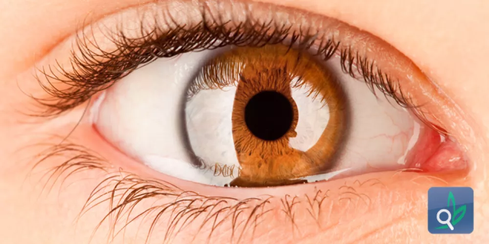 اكتشاف طبقة جديدة لقرنية العين 