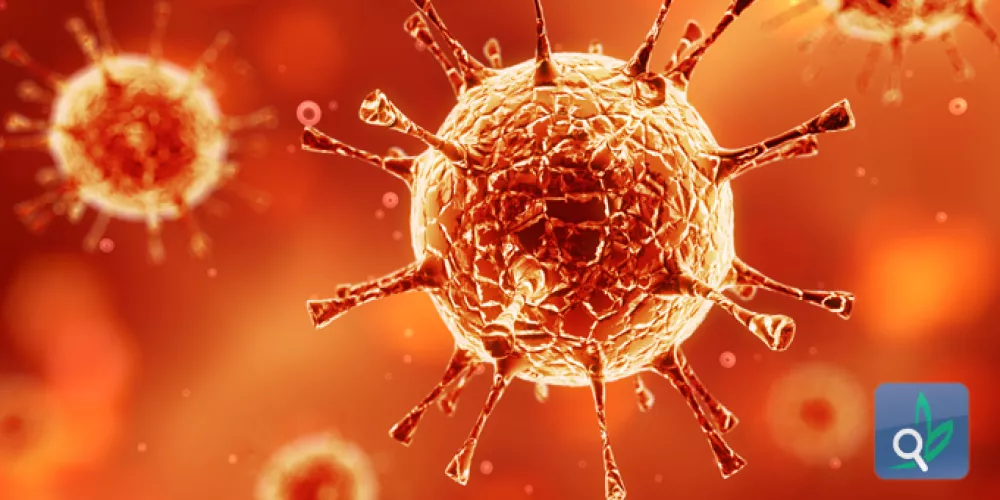 انجاز علمي لتحديد مصادر فيروس الكورونا 
