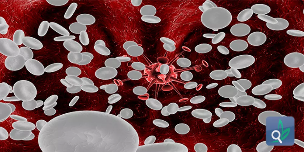 تحويل خلايا الدم لعلاج الامراض ذاتية المناعة  