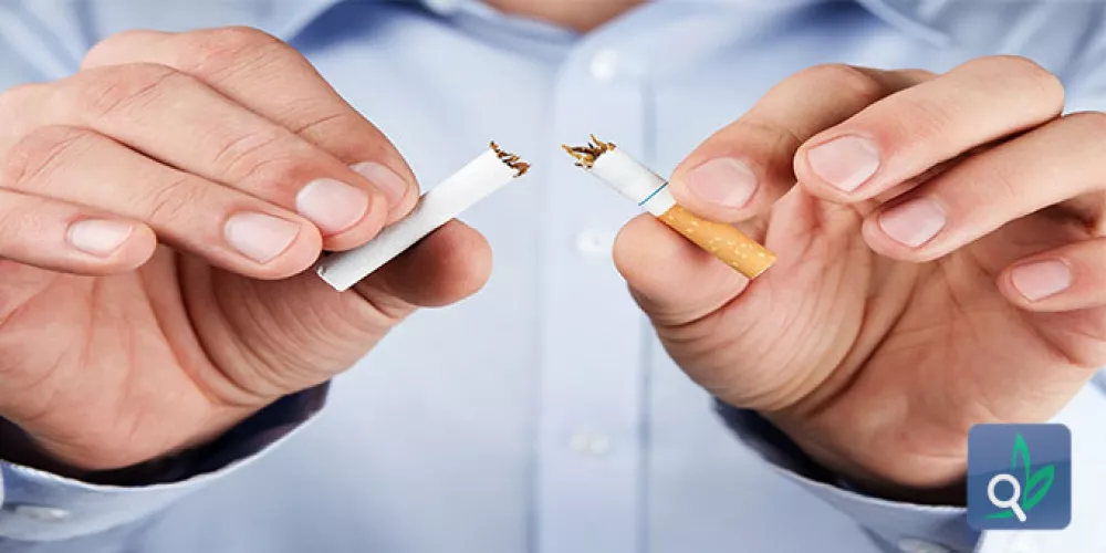 الاقلاع عن التدخين لفترة قصيرة يعكس التلف البطاني 