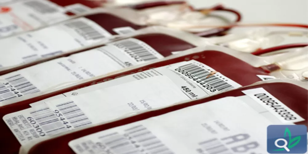 انخفاض نسبة التبرع بالدم في بنك الدم في أبو ظبي 