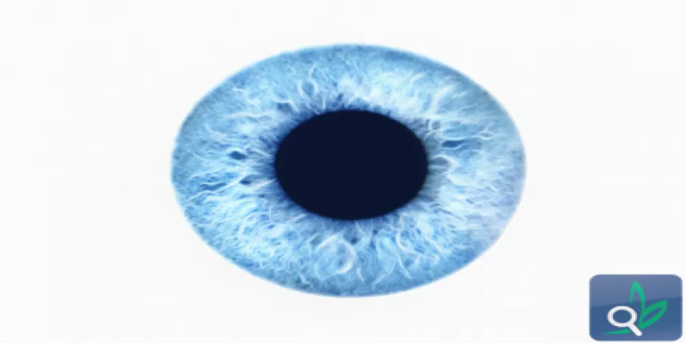 طباعة خلايا شبكية العين لعلاج فقدان البصر 
