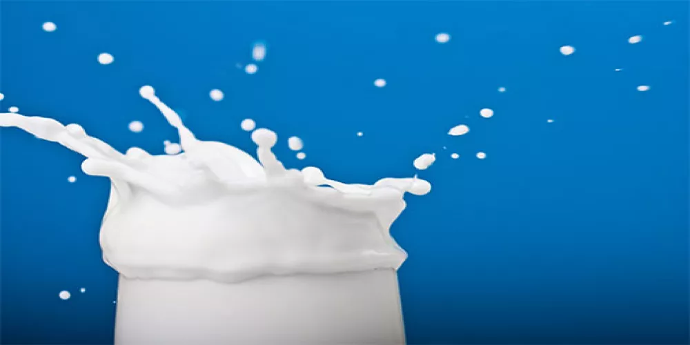 شرب الحليب يقلل من الفصال العظمي  لدى النساء