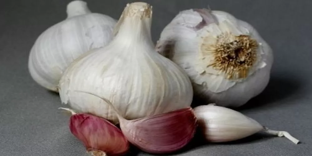 حقيقة الثوم لمرضى الضغط