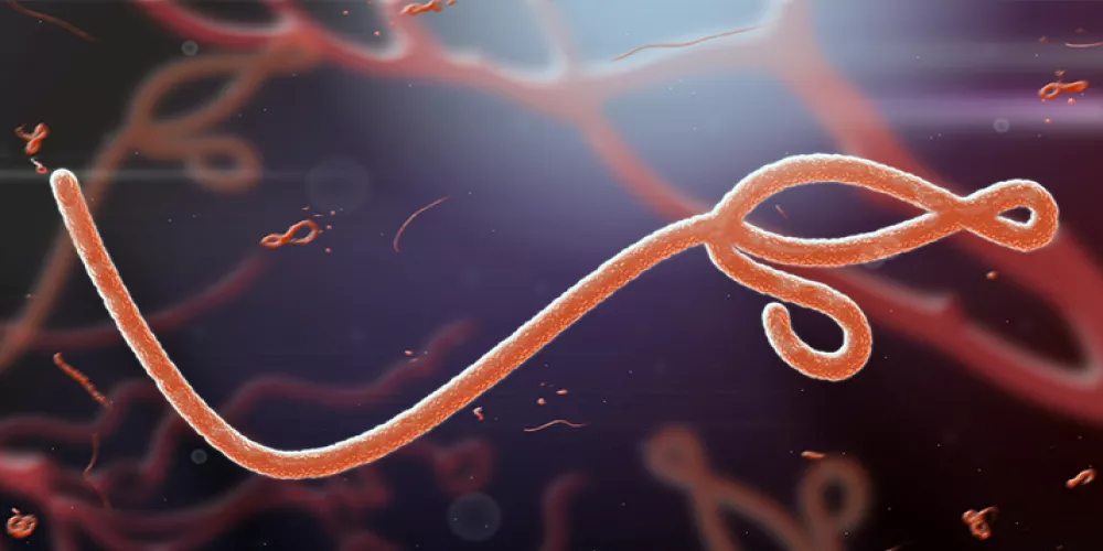 الجينات والشفاء من الايبولا