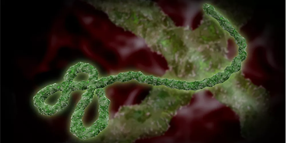 نتائج واعدة لاختبارت السلامة لمطعوم الايبولا