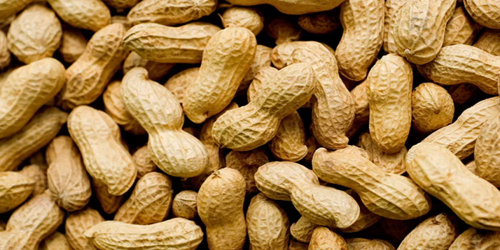 الفول السوداني ما الفائدة من تناوله يومياً