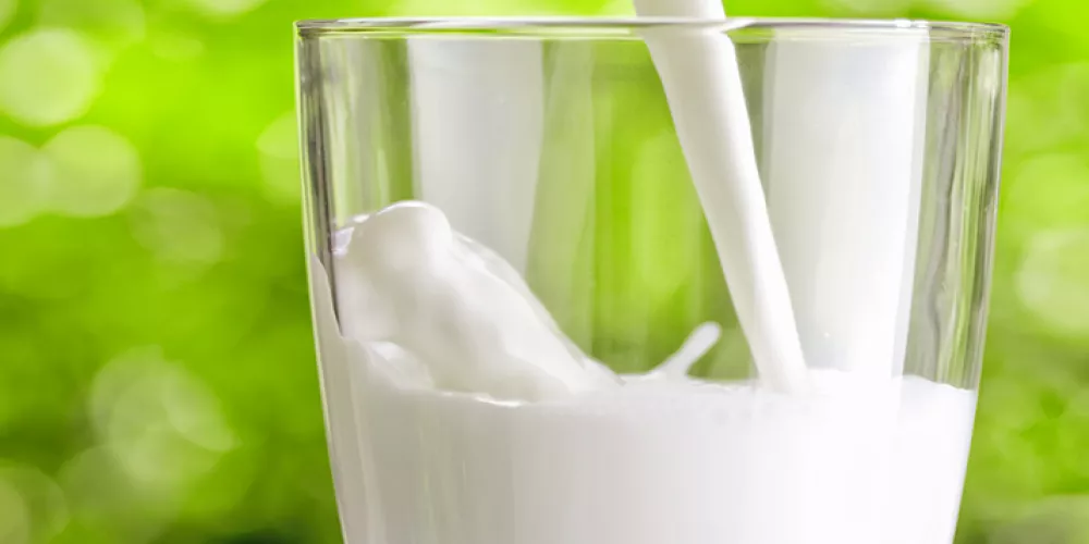 هل يعالج كوب من الحليب حرقة المعدة أم يزيدها سوءاً؟ 