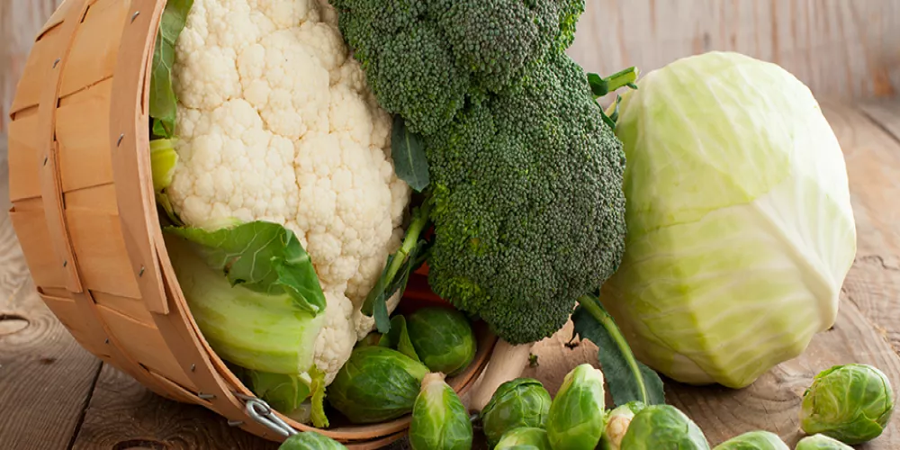 البروكلي والملفوف والخضراوات الاخرى تحمي من سرطان القولون