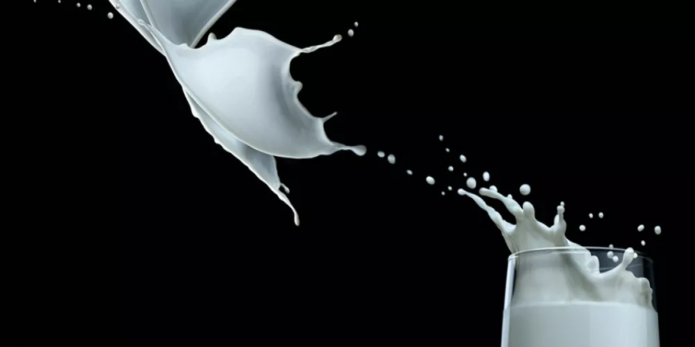 دراسة تُسلط الضوء على الخصائص المُقاومة للأورام في الحليب 