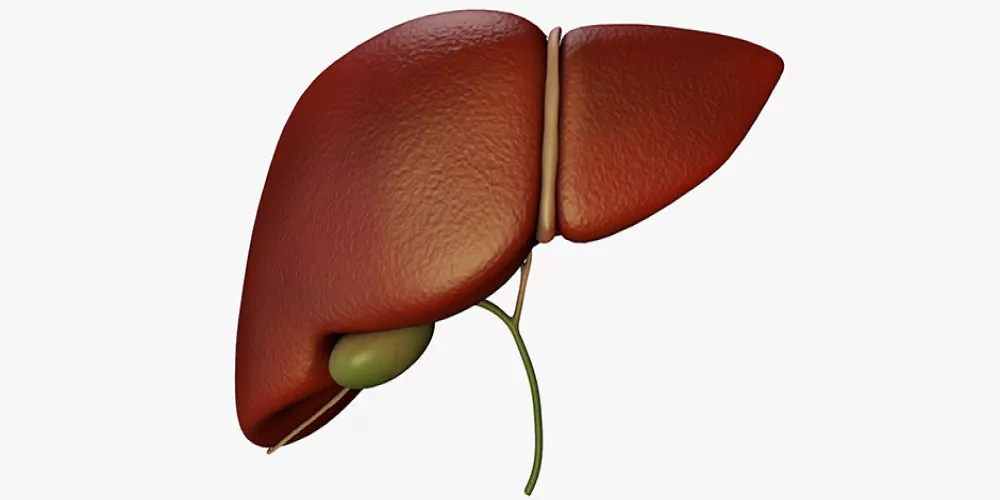 كيف نحمي أنفسنا من سرطان القناة الصفراوية؟