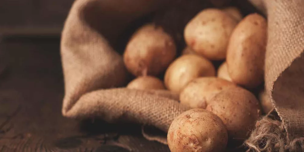 ما العلاقة بين البطاطا وارتفاع ضغط الدم؟