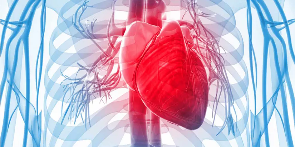 امراض القلب قد تكون عامل للاصابة بسرطان البروستاتا 