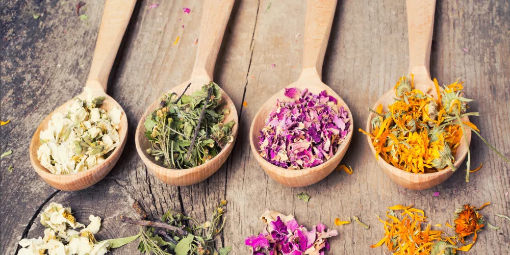 اعشاب تنظيف الرحم