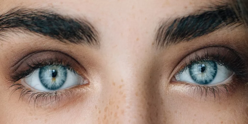 اصحاب العيون الزرقاء هل لهم اصول مشتركة