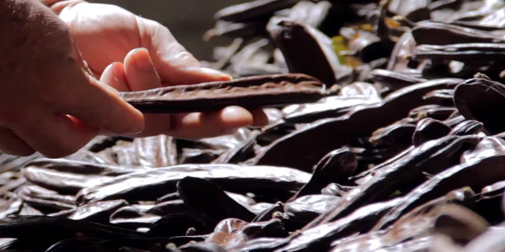 فوائد صحية مدهشة للخروب خلال شهر رمضان