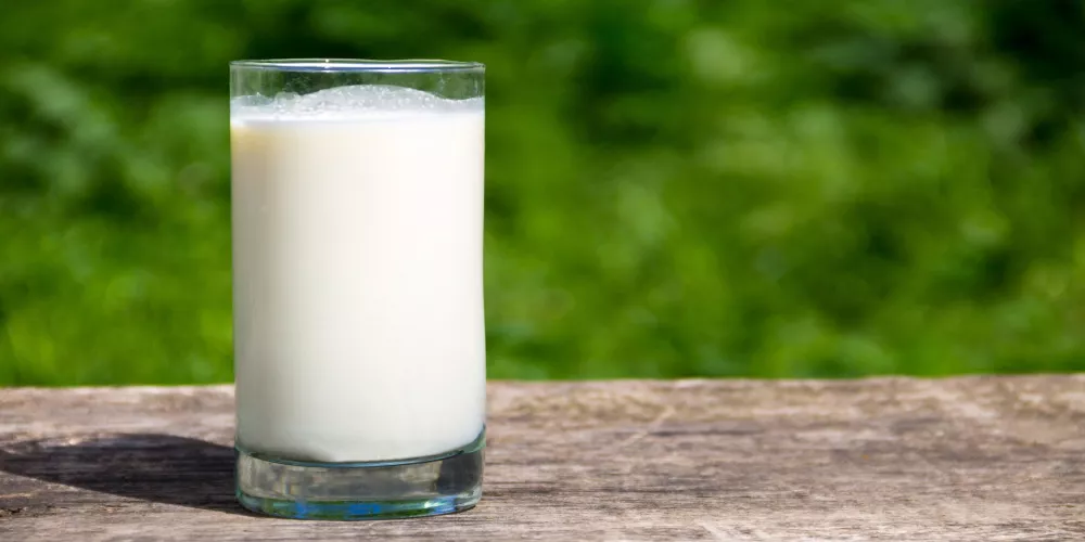 فوائد حقيقية ومذهلة لحليب الإبل