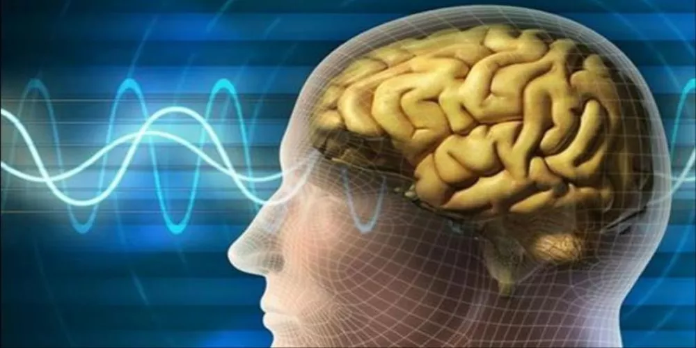 التحفيز الضوئي والصوتي لتحسين الذاكرة ووظائف الدماغ