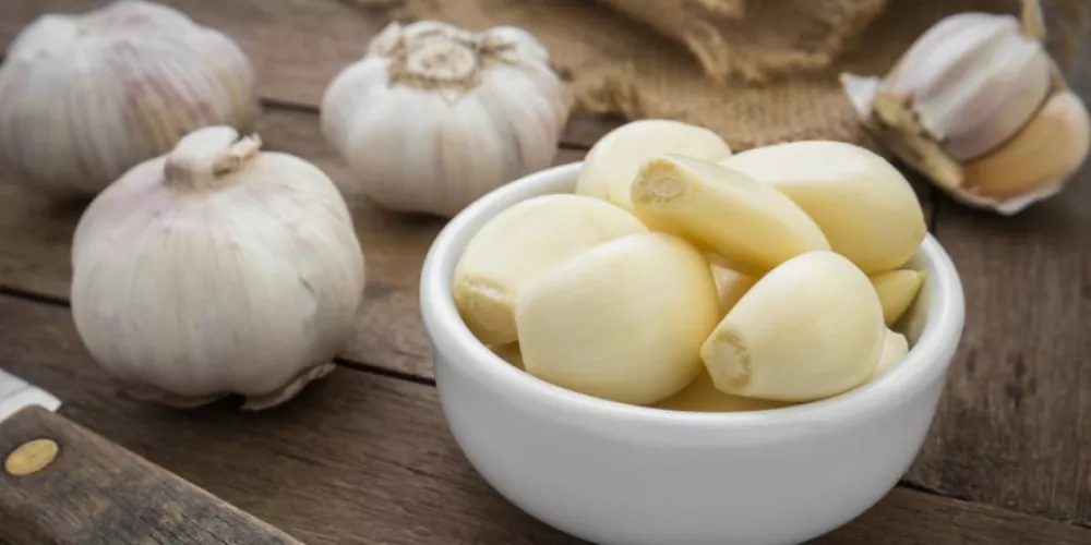 ماذا وجدت الدراسات الحديثة عن فوائد الثوم؟