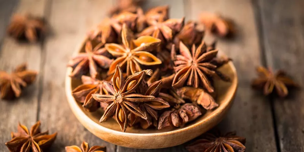 هل يُنصح باستخدام اليانسون النجمي في الوقاية من الانفلونزا؟